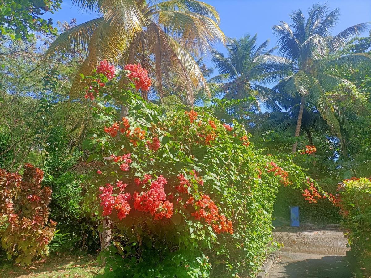 Villa le colibri ble à Sainte-Anne Extérieur photo
